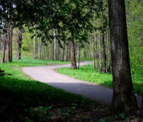 The Path to Success, (c) Jon Shore 2011
